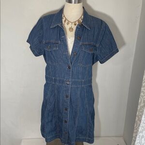 Express Denim Button-Up Dress L
